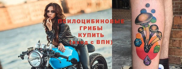 дурь Белокуриха